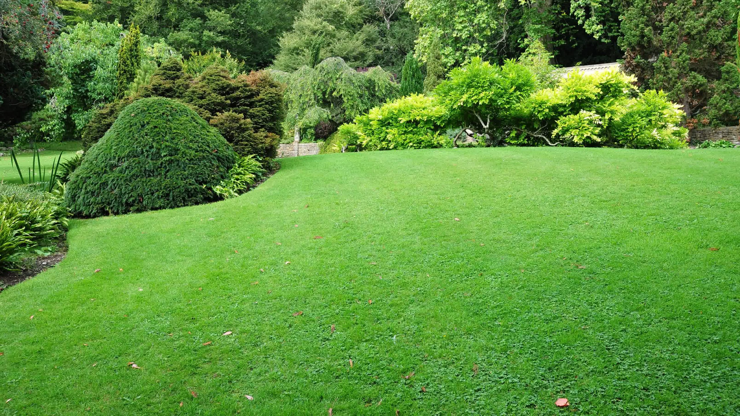 Green lawn with neatly trimmed hedges, mature trees, and dense shrubs in a landscaped garden surrounded by natural woodland.