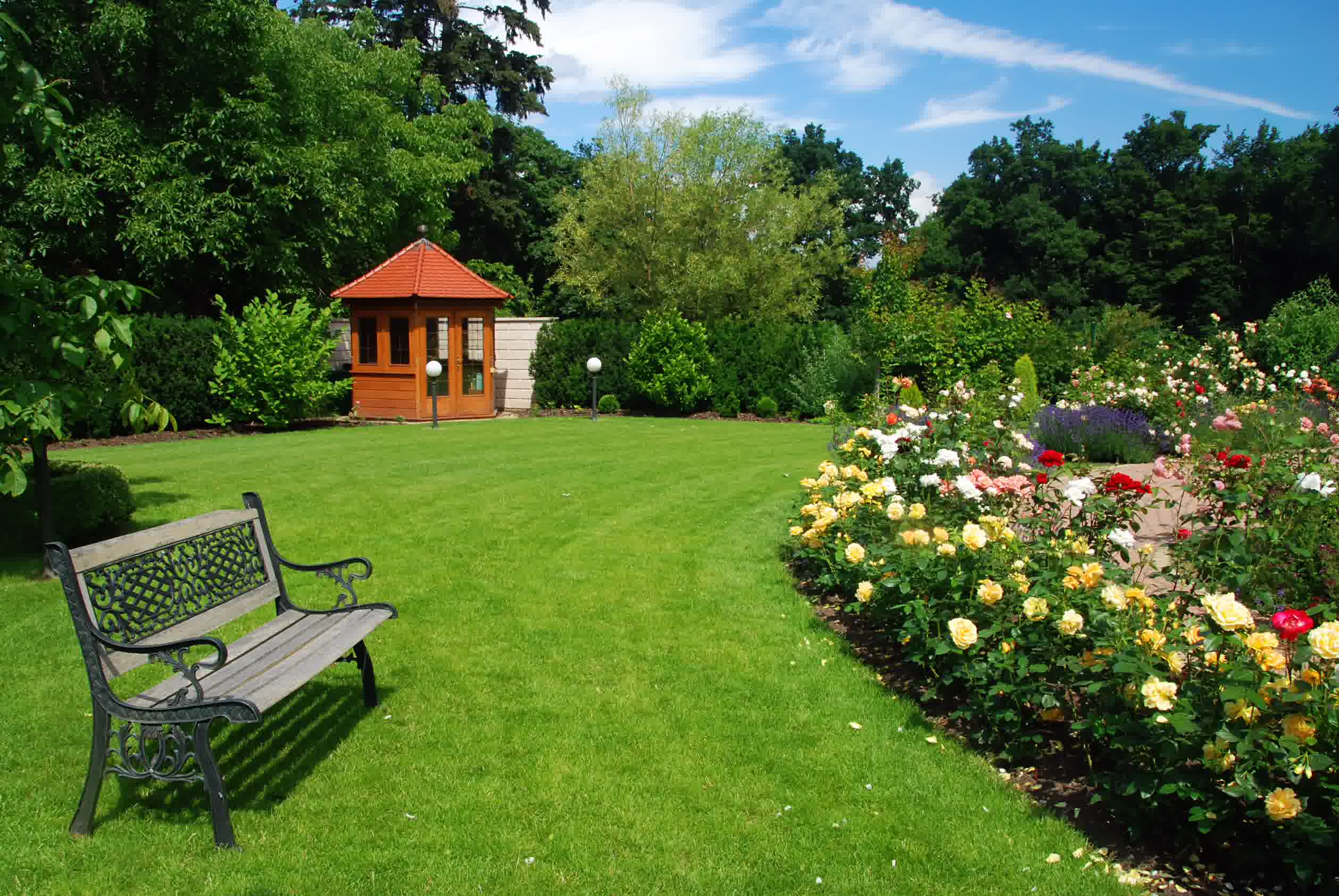 Lush backyard garden with green lawn, colorful blooming rose bushes, a wooden shed, and a decorative bench under a clear blue sky.