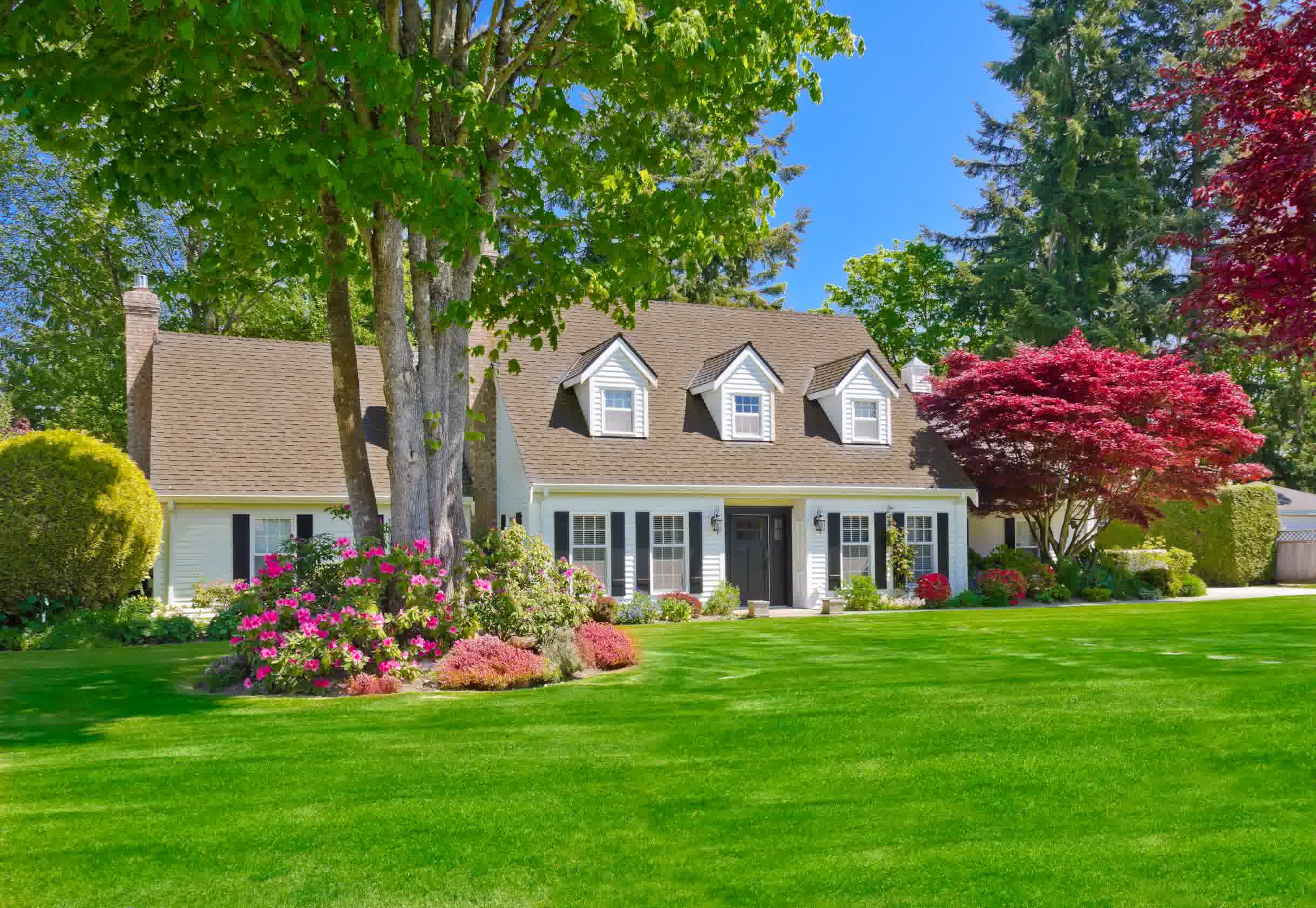Large suburban home with lush green lawn, blooming shrubs, and red maple trees under a clear blue sky in a landscaped front yard.